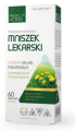 mniszek 1str.png