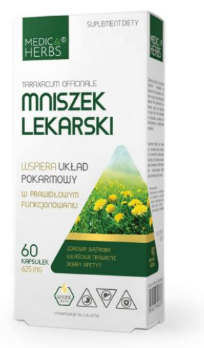 mniszek 1str.png
