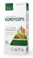 kordyceps 1str.png