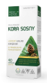 kora sosny 1.png