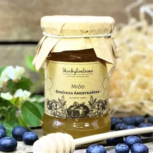 miód borówka amerykańska 370.webp