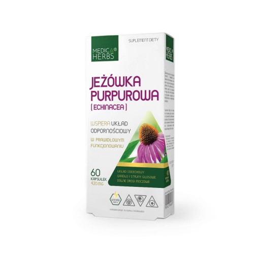 jeżówka purpurowa.jpg