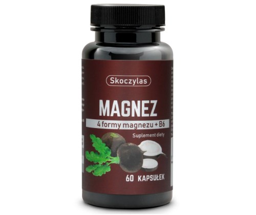 104-magnez-rzepa-min.jpg