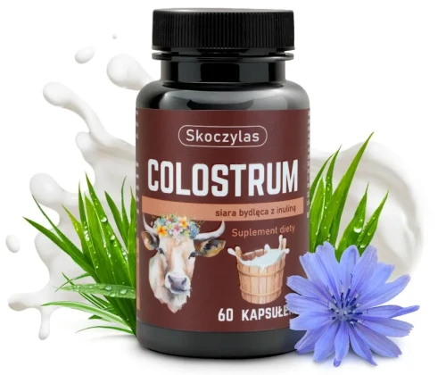 colostrum siara bydleca inulina odpornosc skoczylas(2).webp